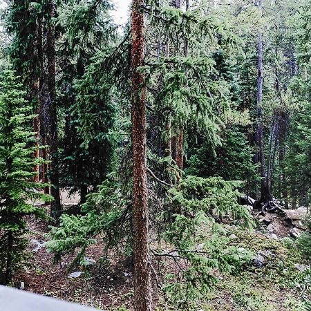 Powderhorn C202 Condo ブリッケンリッジ エクステリア 写真